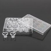 Permeable cell culture inserts
